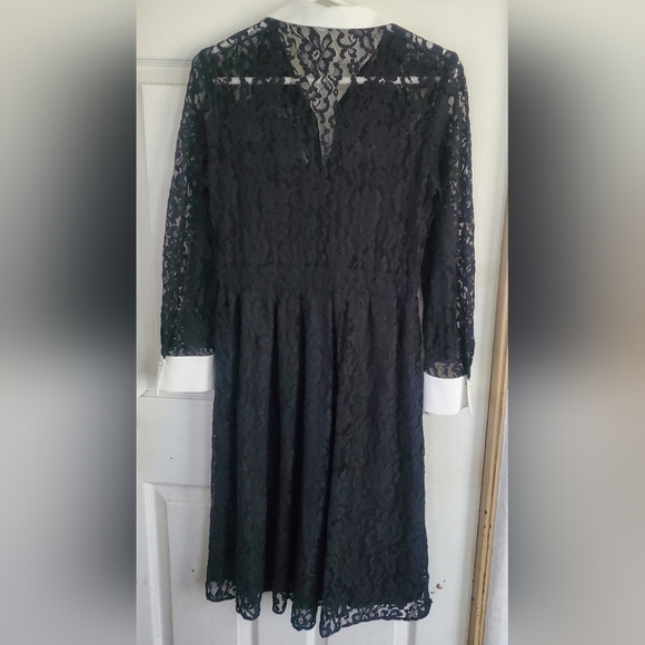 Zara Elegant Black Lace Long Sleeve Button Down Womans Flare Size Medium Dress - Picture 5 of 8